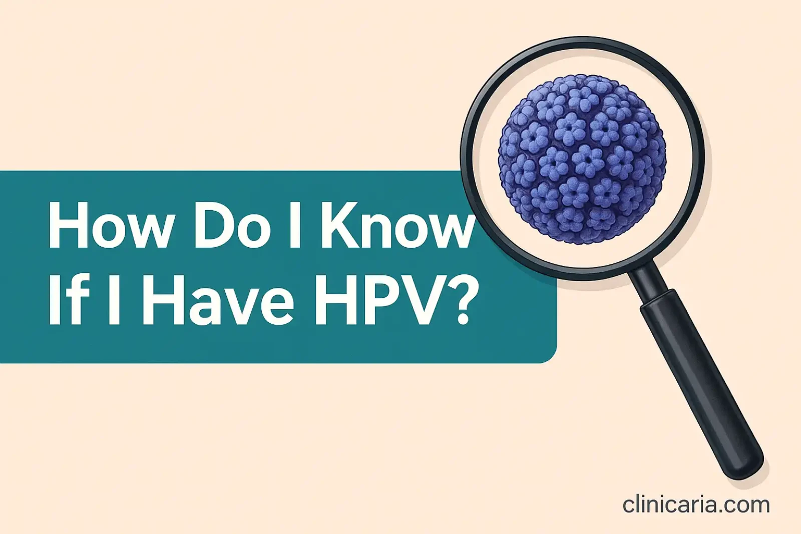 dalayelhpv